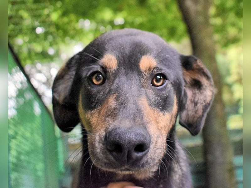 Montego - Sonne im Bauch und Brausekribbeln im Hirn