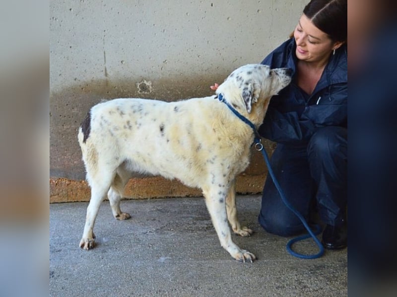 Arunny - aller guten Dinge sind drei