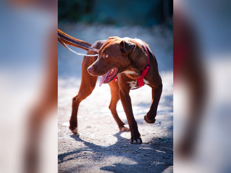 Birdy - Ich glaube, es wird Frühling