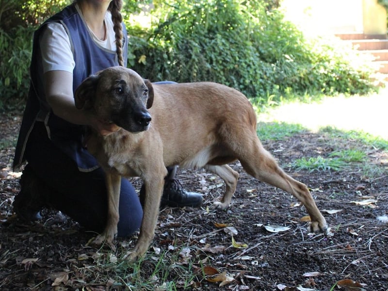 Nidal - Notfall - Was jetzt zählt