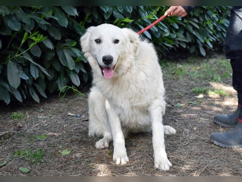 Franky - bereit für das Abenteuer Leben
