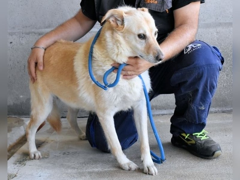 Addison - lange sitzen sie schon da und haben es schwer