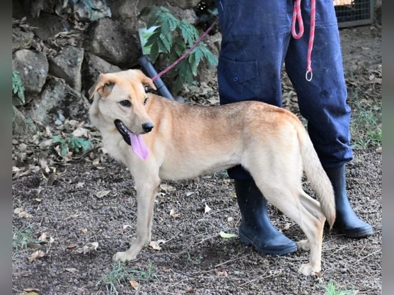 Lilyrose - als kleine Muschel ins Glück!