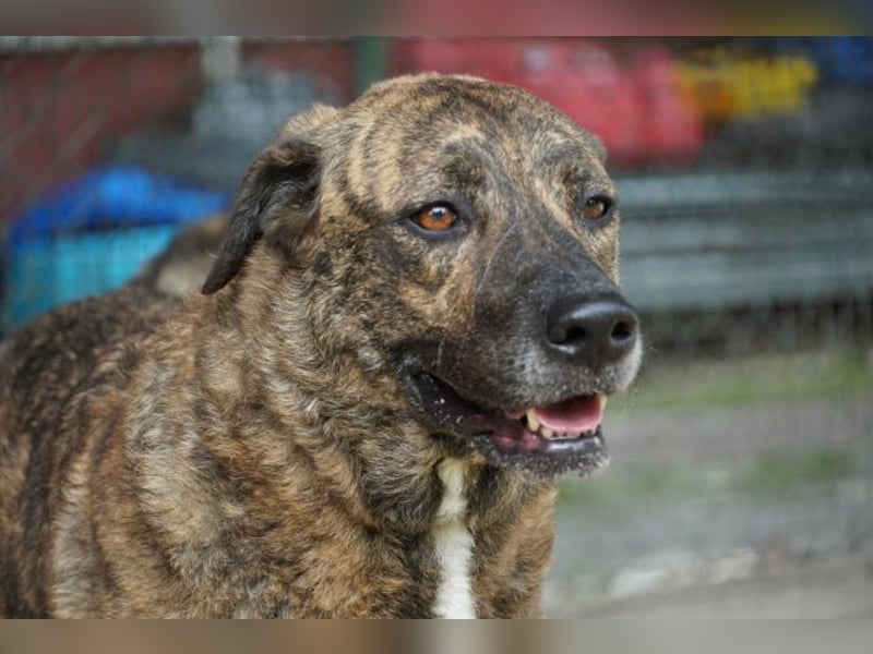 Ludwig - Nur Mädchen erlaubt