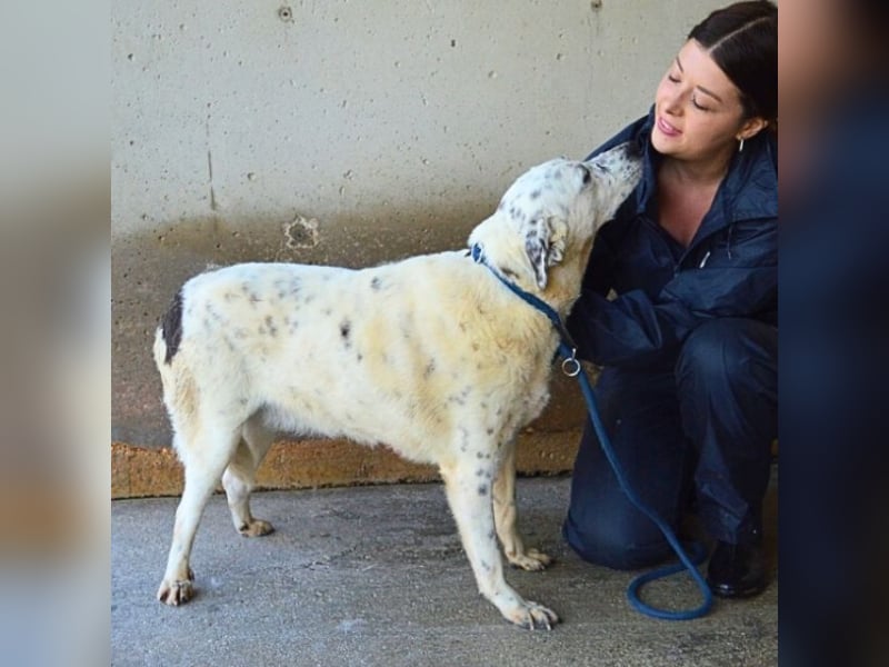 Arunny - Während Sie das hier lesen