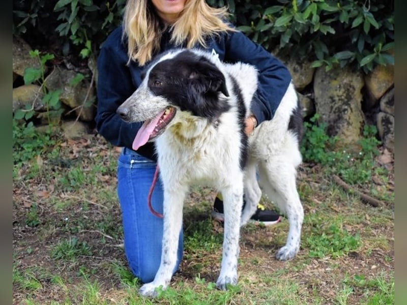 Jessie - Wer nicht neugierig ist, erfährt nichts