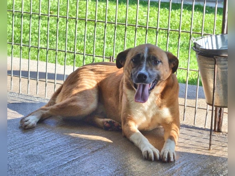 Sunitha - Drei Leben. Drei Chancen.