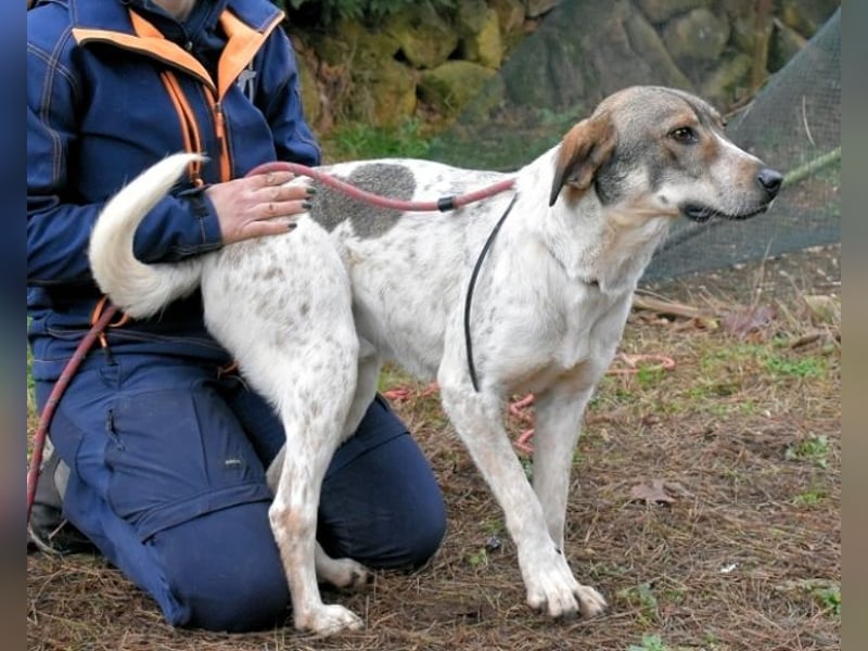 Helder - spricht für sich