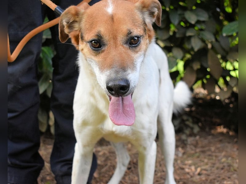 Kamyll - Der Platz neben dir