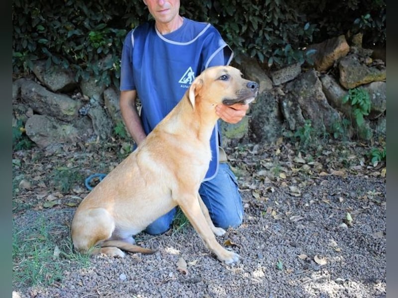 Ulbert - hat alles verloren