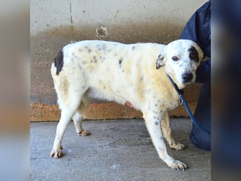 Arunny - aller guten Dinge sind drei