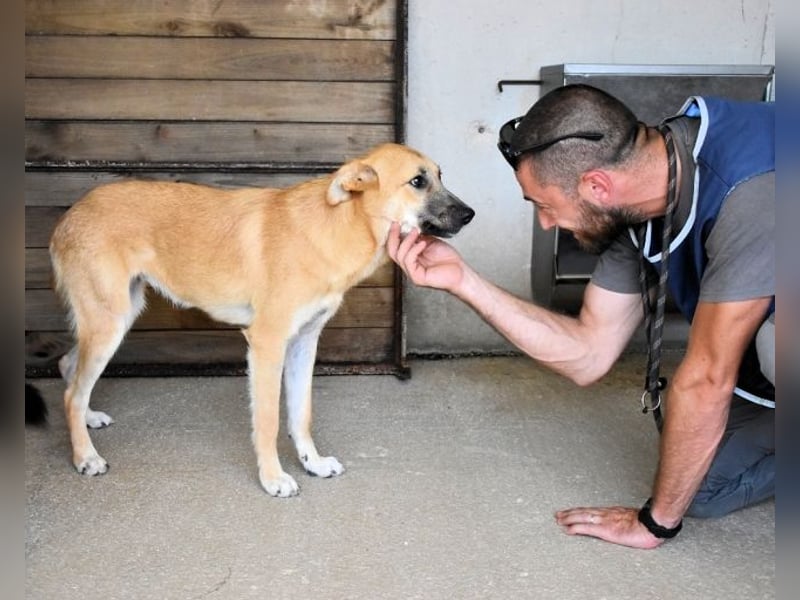 Osita - "Und wenn sie nicht weg sind.....