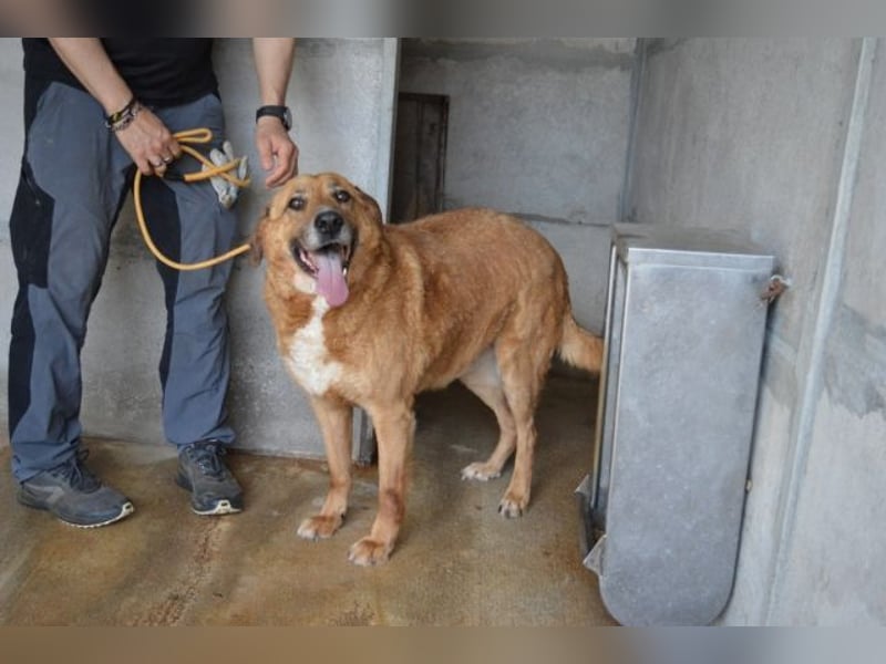 Kemp - Runder Rundum-Schatz