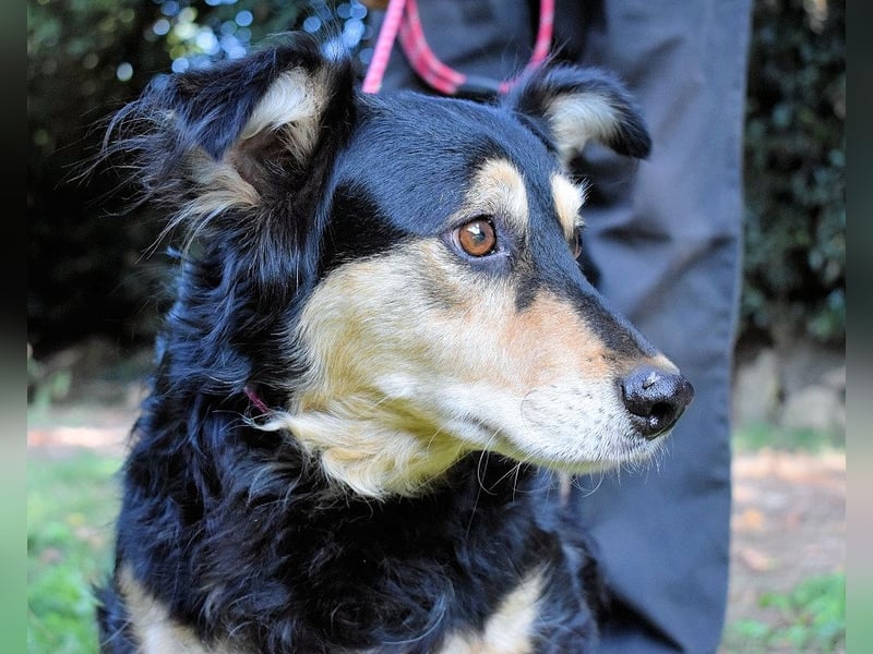Daxter - Vollbremsung ins Leere