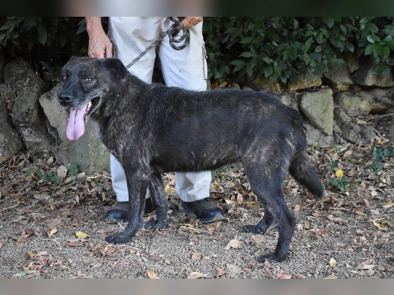 Fareeda - Wo die Schmetterlinge wohnen