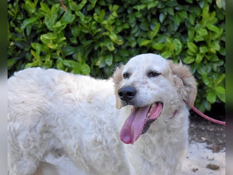 Kastore - Die Welt erkunden!