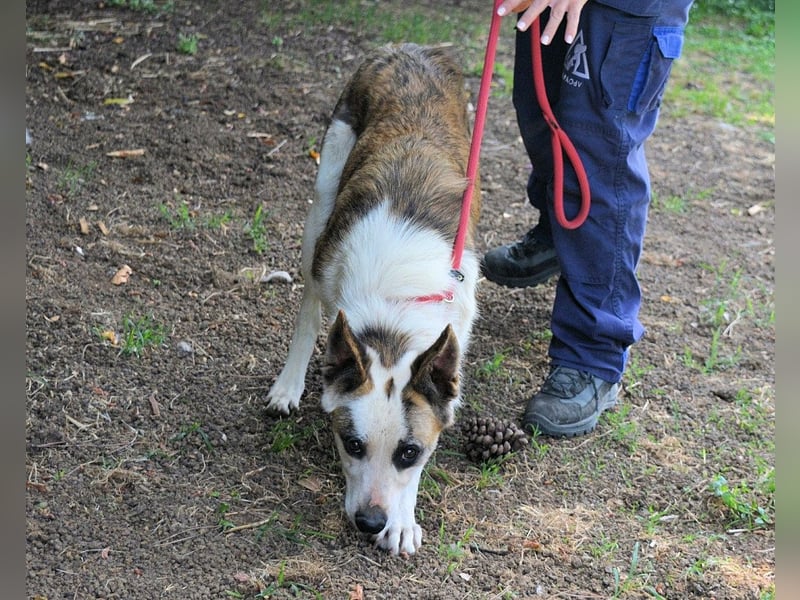 Milde - Ein Flüstern, das sagt: "Du bist sicher."