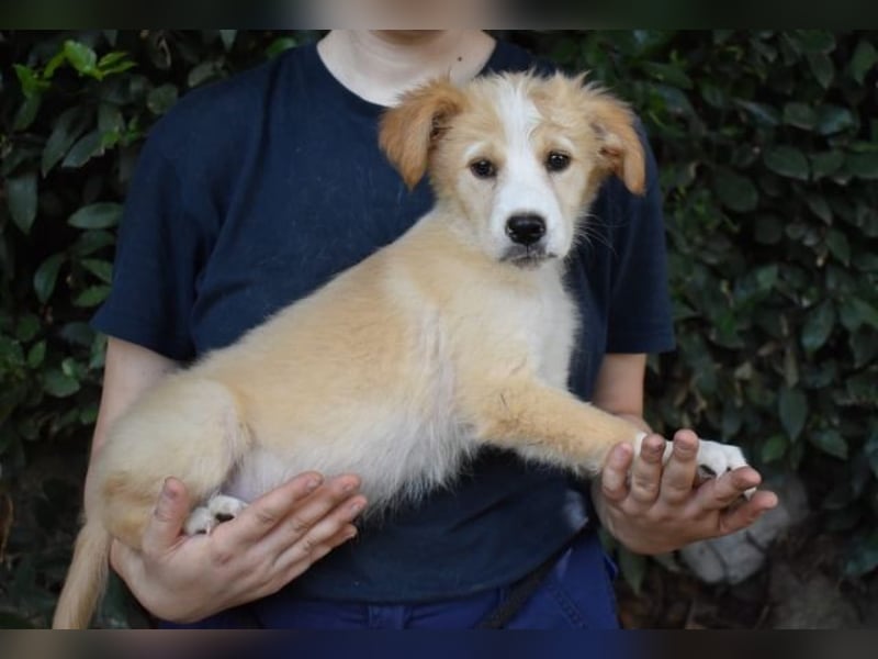Marula - ...und Mama konnte es dir nicht zeigen