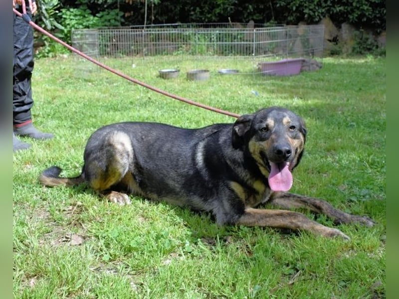 Montego - Sonne im Bauch und Brausekribbeln im Hirn