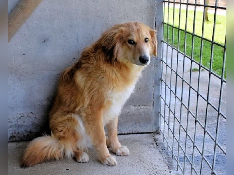 Jonathen - Die Flucht in mir