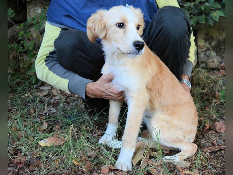 Marula - ...und Mama konnte es dir nicht zeigen