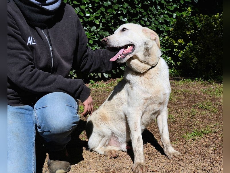 Shaydon - Ein riesiges Missverständnis!