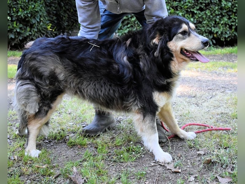 Oliverio - ohne Anklage hinter Gittern