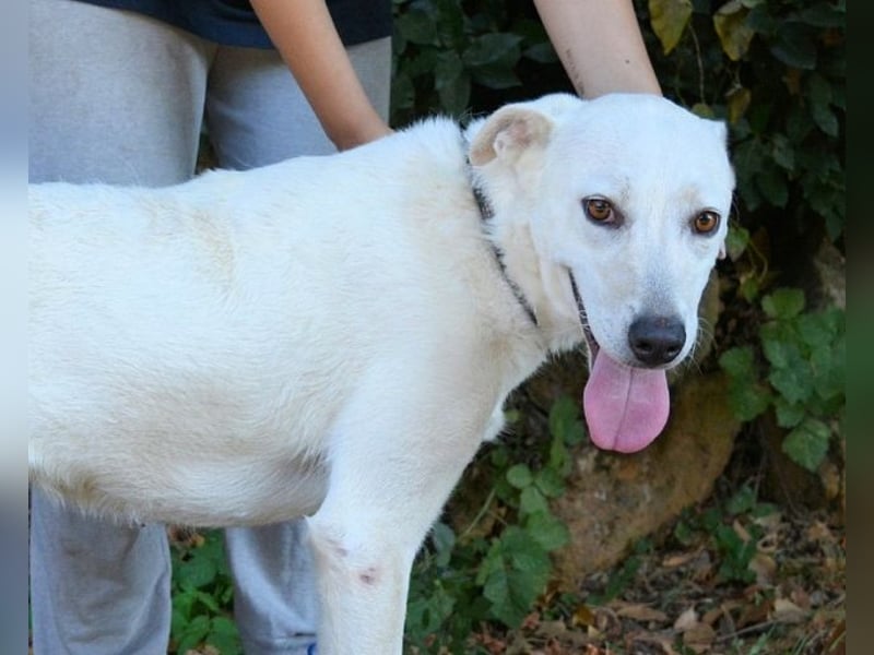 Dafnielle - Zukunft gesucht