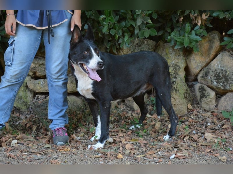 Edelmira - Das Leben in homöopathischen Dosen kennenlernen