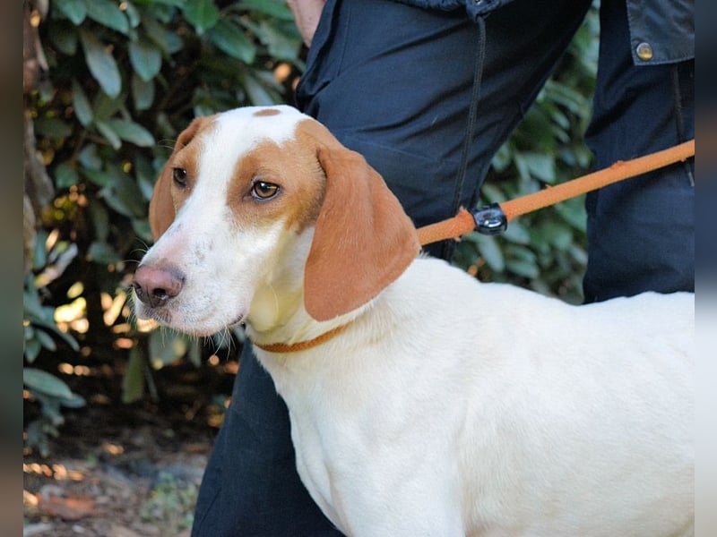 Samarie - Abenteuerlust und Kuschelzeit