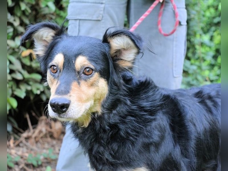 Daxter - wann darf sein Leben beginnen? Daxter - wann darf sein Leben beginnen?