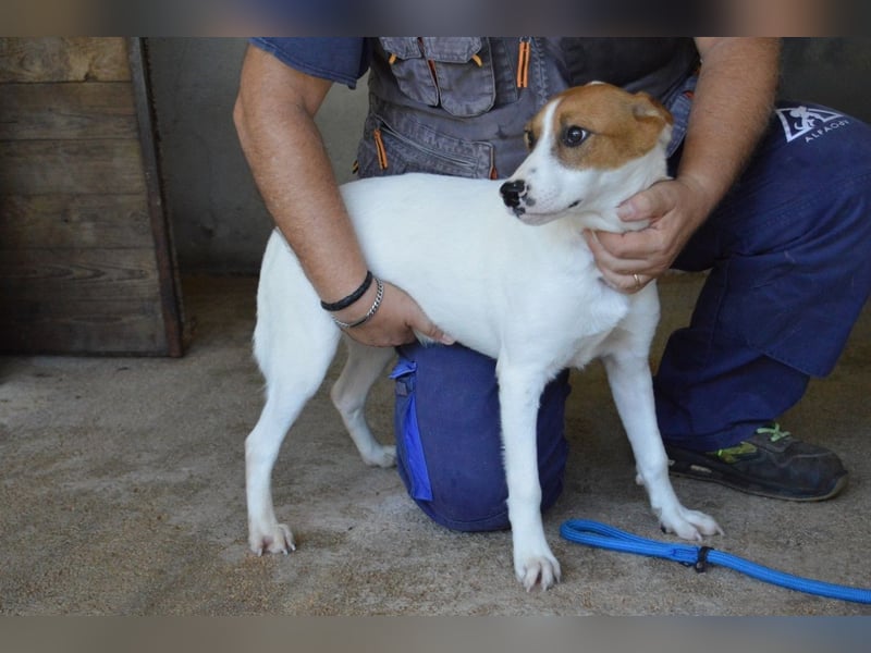 Tyber - Wer gibt mir einen Vertrauens-Schubser?