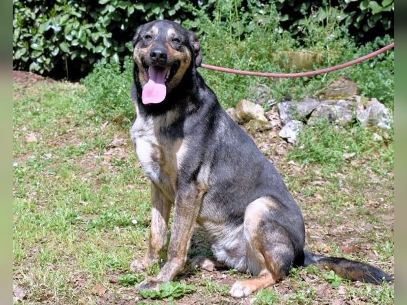 Montego - Sonne im Bauch und Brausekribbeln im Hirn