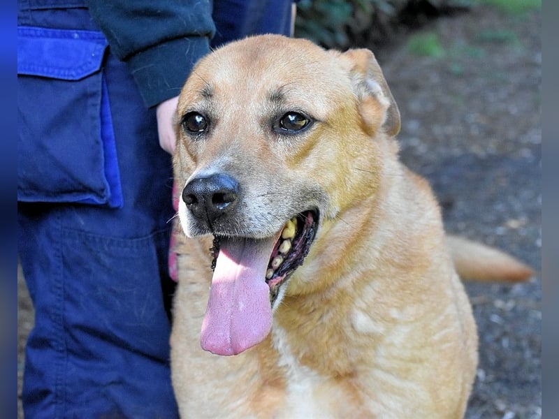 Cesny - Noch ist es nicht zu spät, aber es wird höchste Zeit!