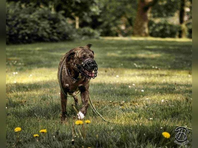Ludwig - Nur Mädchen erlaubt