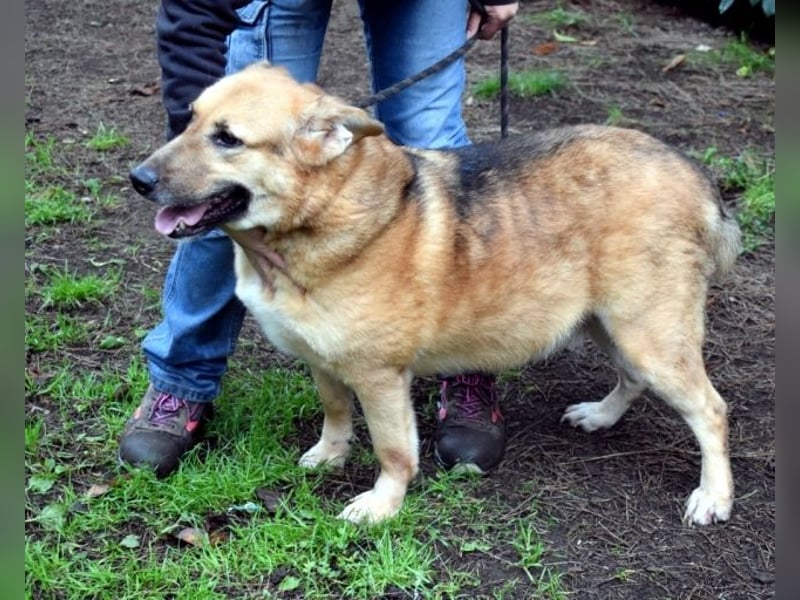 Kairo - möchte einfach nur genießen