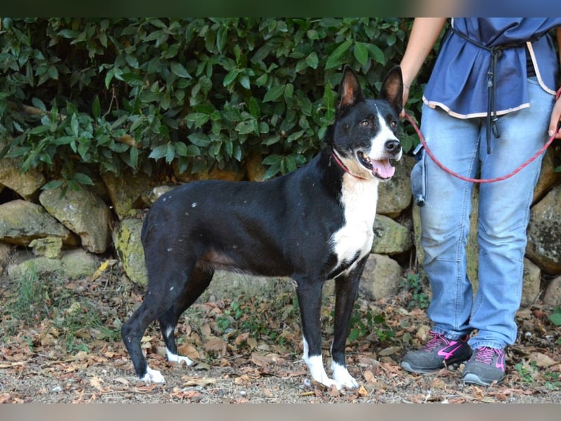 Edelmira - Das Leben in homöopathischen Dosen kennenlernen