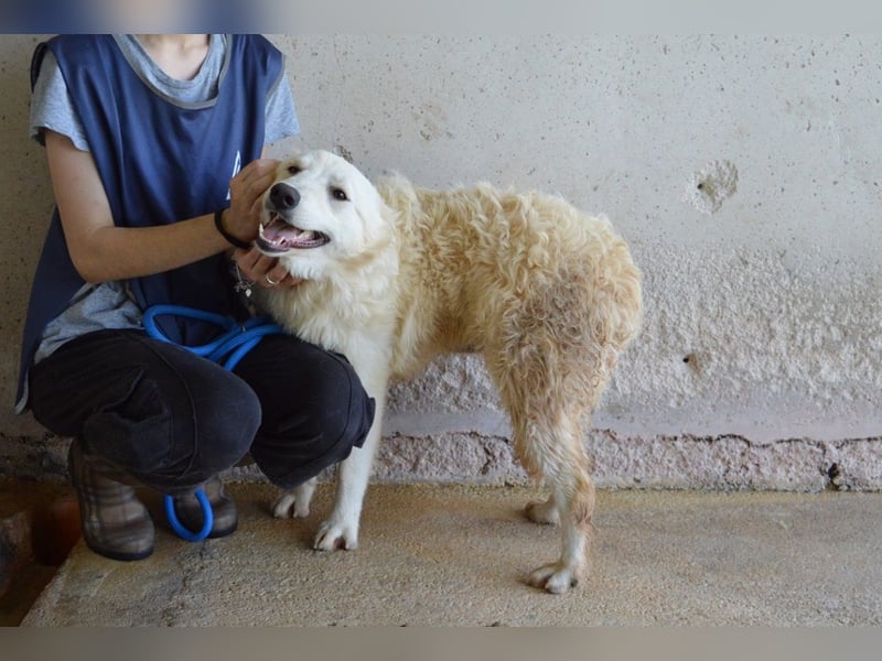 Sadye - Liebevolle Zuwendung....