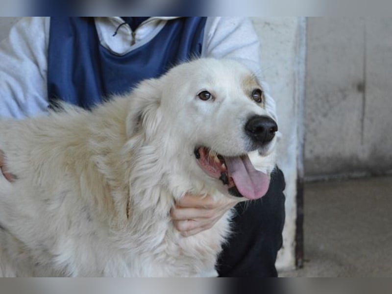 Bailoch - Zeig mir doch bitte...