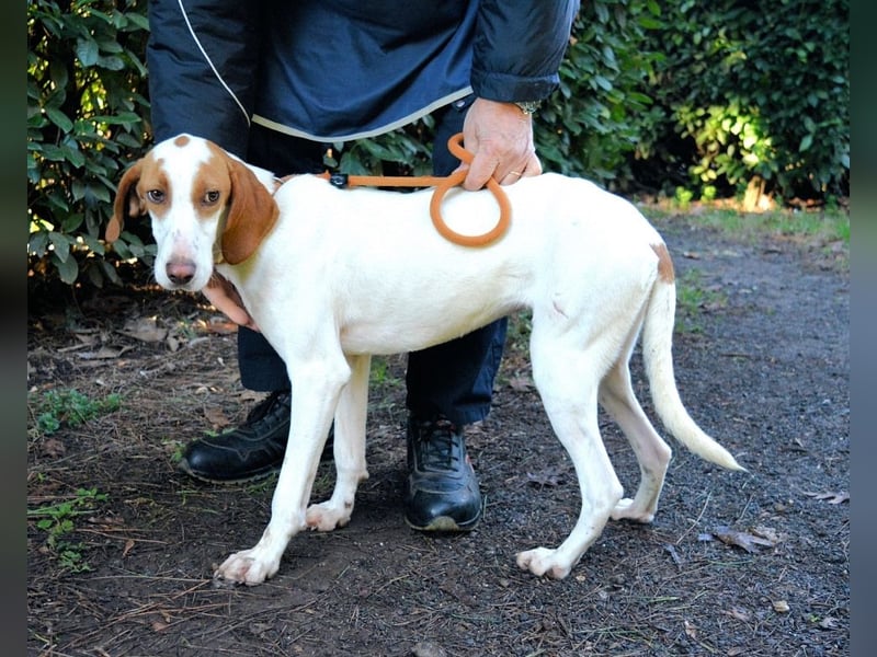 Samarie - Abenteuerlust und Kuschelzeit