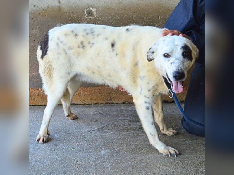 Arunny - Während Sie das hier lesen