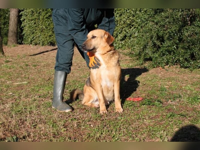 Kairo - möchte einfach nur genießen