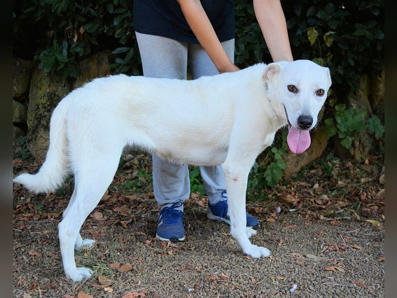 Dafnielle - Zukunft gesucht