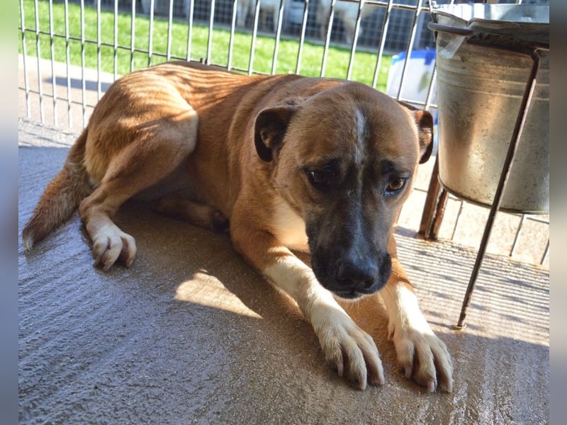 Sunitha - Drei Leben. Drei Chancen.