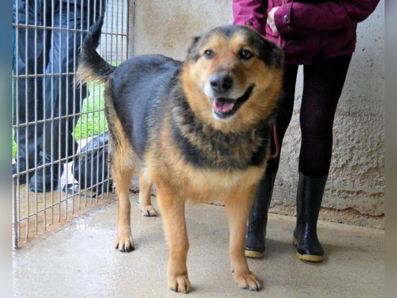 Annalise - Eine liebevolle Gefährtin sucht ihren Menschen Annalise - Eine liebevolle Gefährtin sucht ihren Menschen
