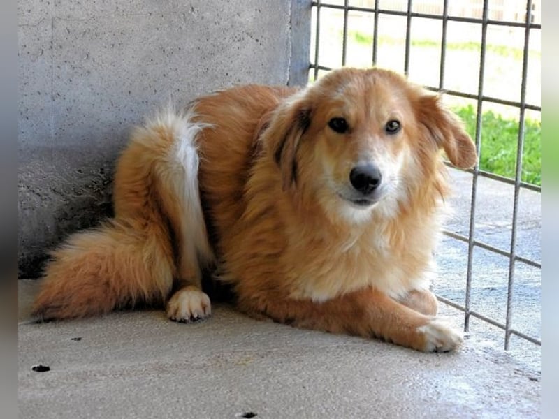 Jonathen - Die Flucht in mir