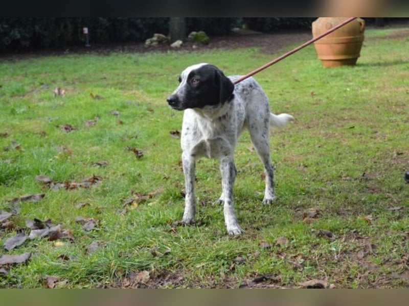 Flicka - möchte noch viel erleben