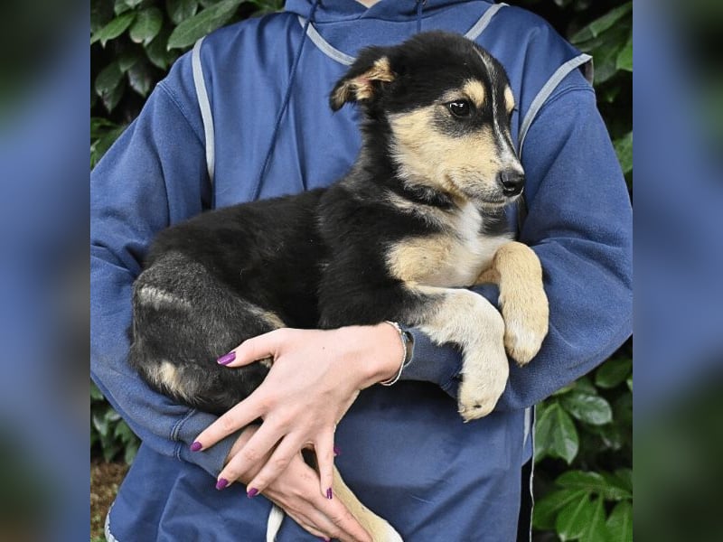 Oliverio - ohne Anklage hinter Gittern