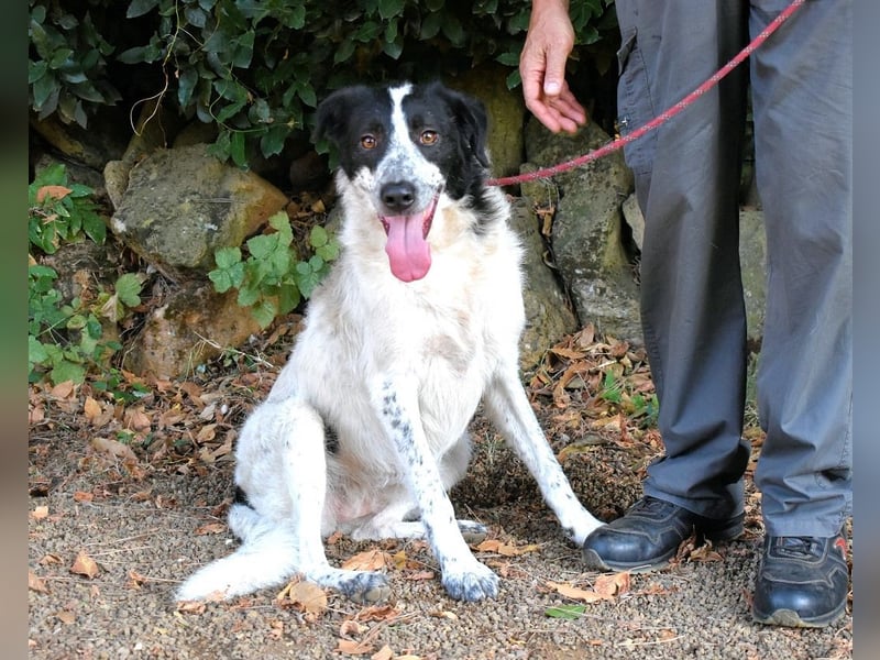 Jessie - Wer nicht neugierig ist, erfährt nichts