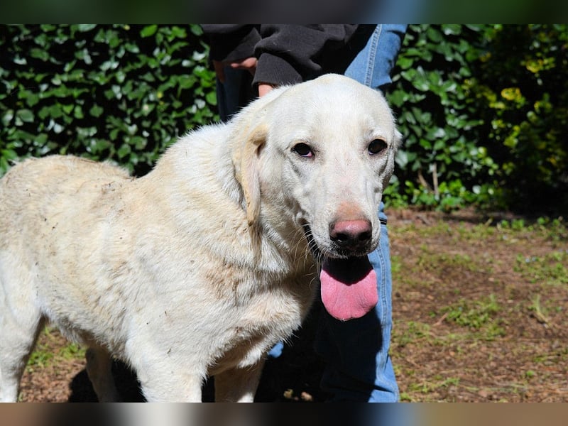 Shaydon - Ein riesiges Missverständnis!